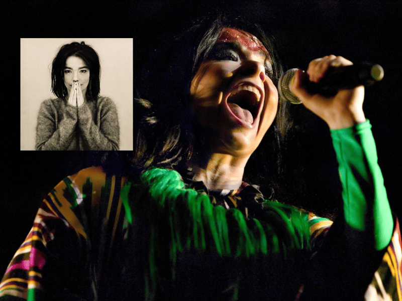 Björk’s fearless experimentation on Debut, Post and Homogenic inspired indie artists and electronic innovators like FKA twigs, Florence + The Machine, and Lady Gaga. Her theatricality and avant-garde approach to both visuals and sound pushed boundaries across pop and alternative music.