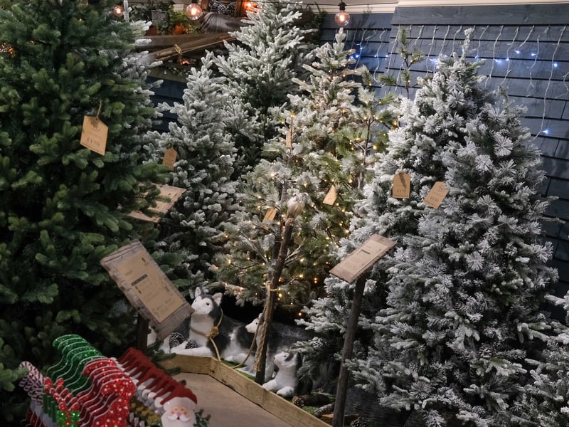 Christmas Trees at Wentworth Garden Centre, part of the Christmas display. Photo: Dean Atkins