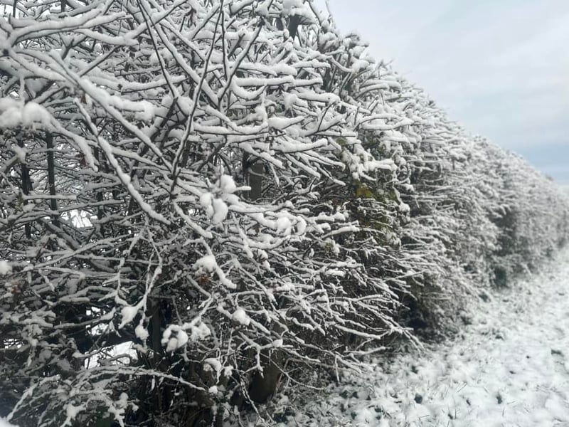 YEP reader Aey Chiraphon sharex this photo of snow in Streethouse, Wakefield.