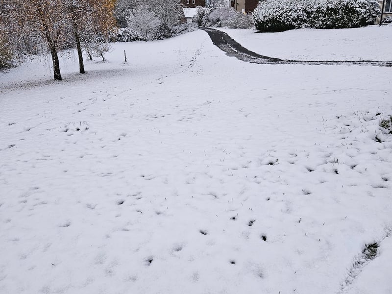 YEP reader Yvonne Woodhead shared this photo of snow in Middleton, Leeds. 