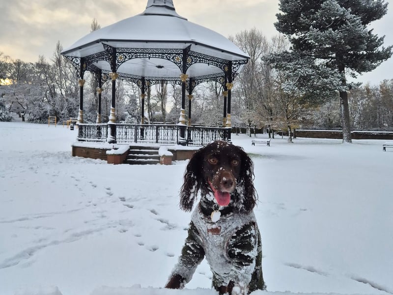 YEP reader Rose Collins shared this photo of snow at Locke Park Cafe, Barnsley. 
