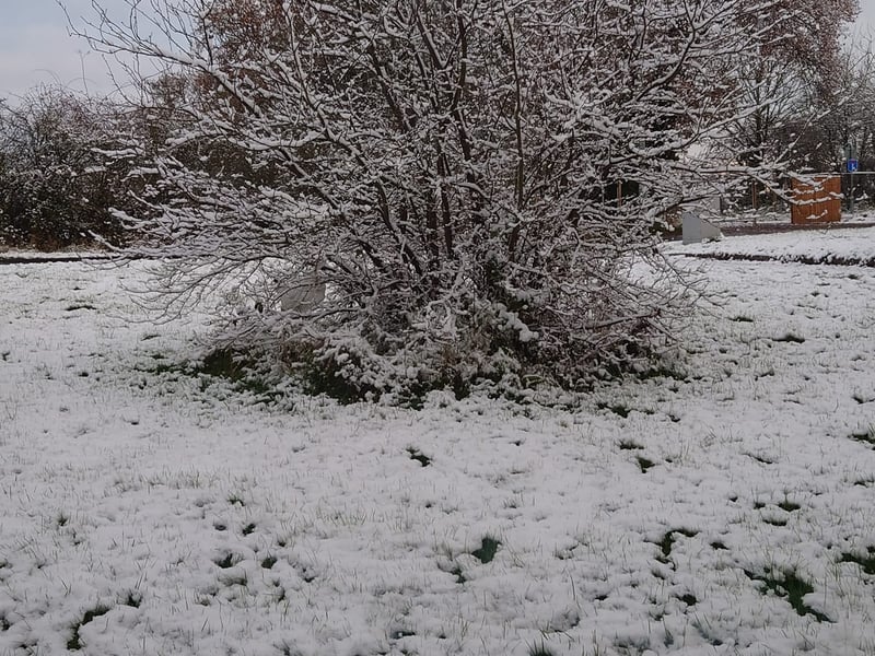 YEP reader Toni Welsh Dean shared this photo of snow in Whinmoor, Leeds.