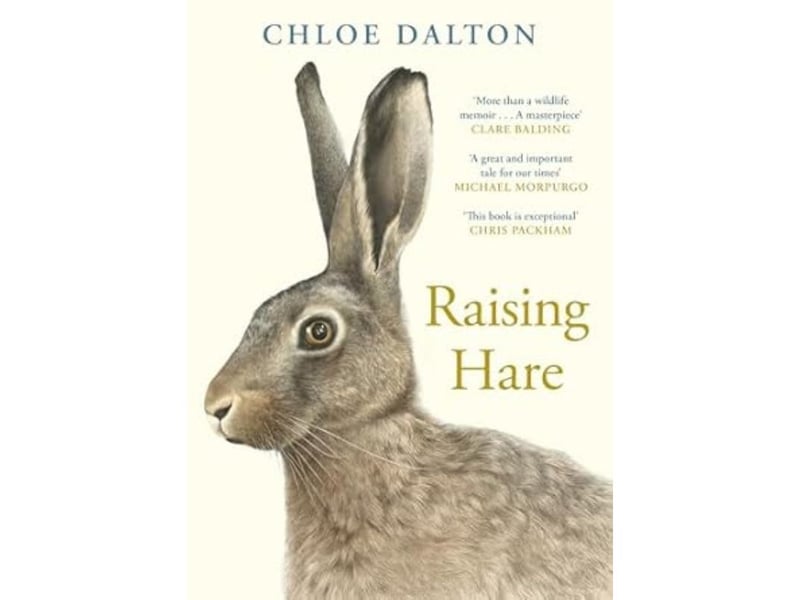 "When lockdown led busy professional Chloe to leave the city and return to the countryside of her childhood, she never expected to find herself custodian of a newly born hare. Yet when she finds the creature, endangered, alone and no bigger than her palm, she is compelled to give it a chance at survival. Raising Hare chronicles their journey together and the challenges of caring for the leveret and preparing for its return to the wild. We witness an extraordinary relationship between human and animal, rekindling our sense of awe towards nature and wildlife. This improbable bond of trust serves to remind us that the most remarkable experiences, inspiring the most hope, often arise when we least expect them."