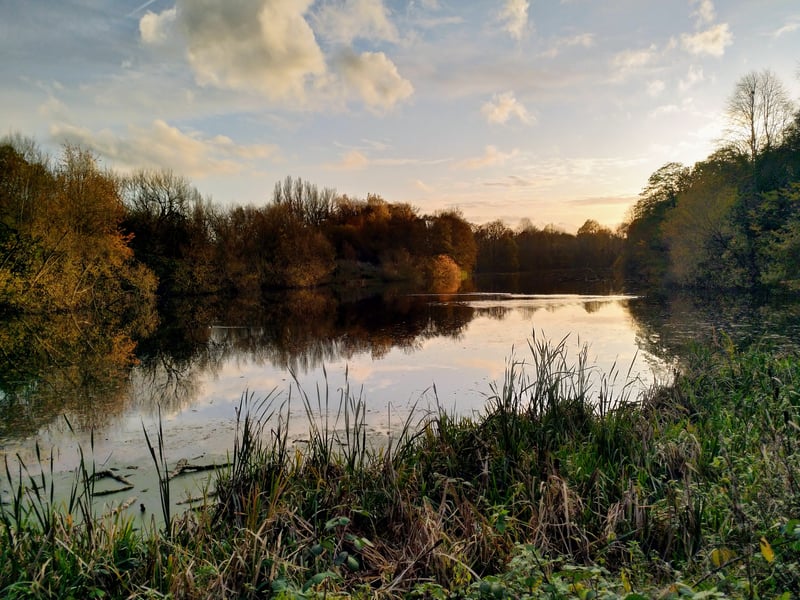 The 4.5km West and Colwick Lake circular walk at Colwick Country Park takes in some stunning natural scenery