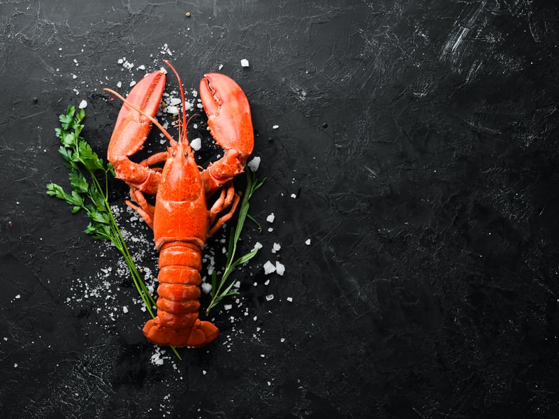 Iceland Foods has revealed that lobster is predicted to be a front-runner for the first-time with the shop predicting to sell more than 40,000 of them during Christmas. Last year, many Iceland customers opted to ditch the traditional turkey for a lavish lobster, with Iceland’s lobster products flying off the shelves. 