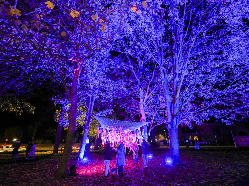 Colourful illuminations lit up the park near St Mary's Church. Picture: Marcin Jedrysiak
