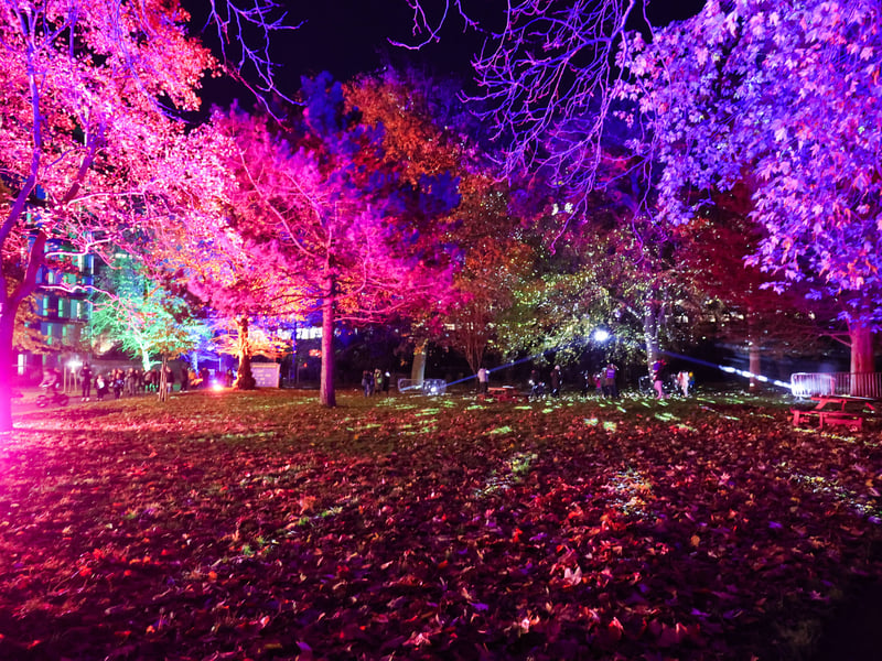  Many people has visited Victoria Park to admire colourful illuminations. Picture: Marcin Jedrysiak