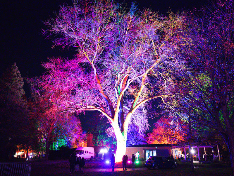 Many people has visited Victoria Park to admire colourful illuminations at Victoria Park. Picture: Marcin Jedrysiak
