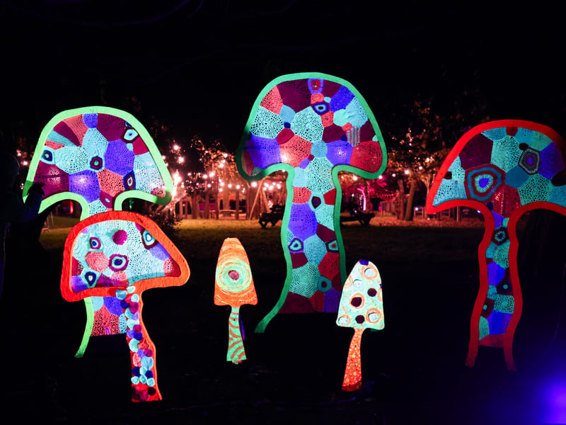 Fabulous artwork at Victoria Park. Picture: Marcin Jedrysiak