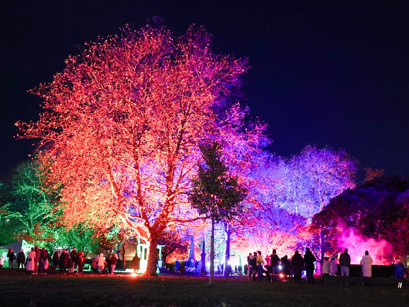 Many people has visited Victoria Park to admire colourful illuminations. Picture: Marcin Jedrysiak