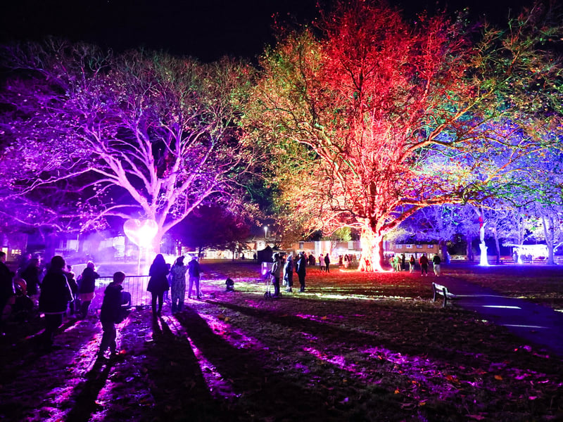 Colourful illuminations lit up the park near St Mary's Church. Picture: Marcin Jedrysiak