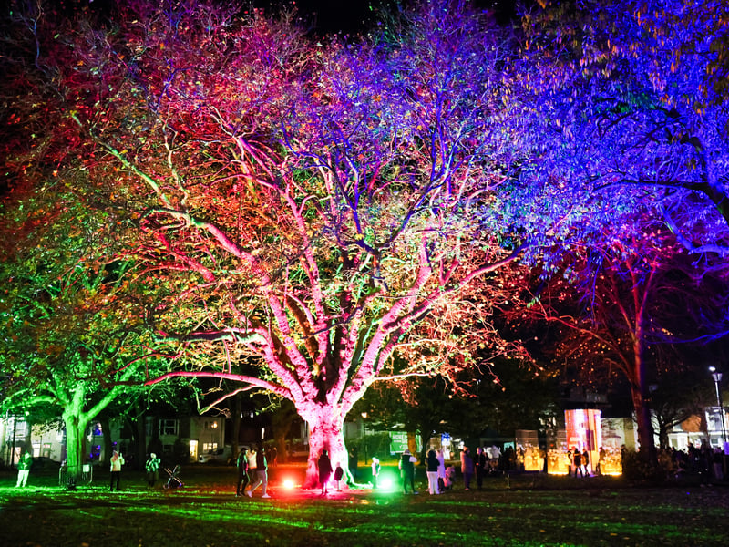 Colourful illuminations lit up the park near St Mary's Church. Picture: Marcin Jedrysiak