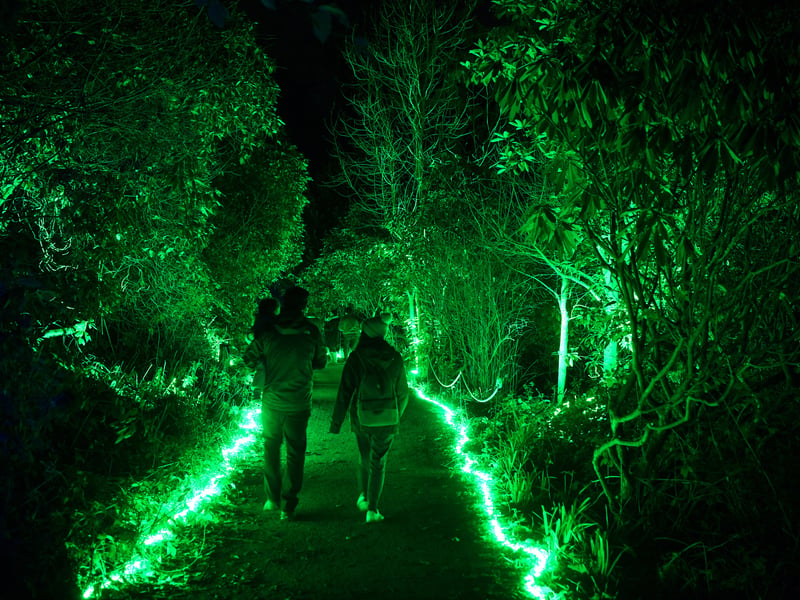 Over one mile long, the Northern Lights Leeds trail includes 14 distinct illuminated zones featuring interactive elements and soundtracks that all combine to create an otherworldly sensory experience and capture the magic of the festive season. 
