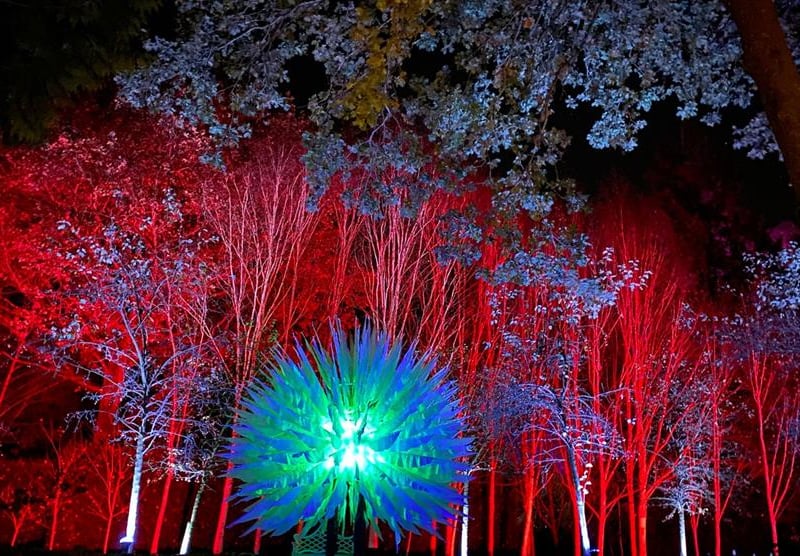 Experience a breath-taking outdoor adventure through a magical garden, where gigantic shimmering flowers, glowing fairies, and a forest of illuminated field flowers create a spectacular scene. Marvel at enormous lit waterlilies floating serenely on the lake and walk across five bridges that transform into tunnels of light. The garden’s whimsical follies are beautifully illuminated, adding to the wonder at every turn from November 23 to December 29 2024.