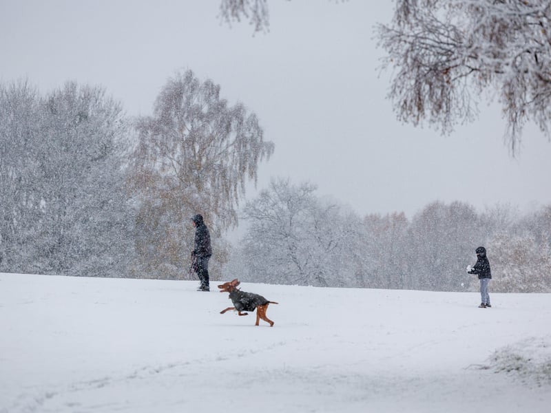 People out walking during heavy snowfall at Bannockburn, near Stirling