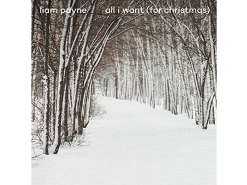 The much-missed Liam Payne released this Christmas song back in 2019. The former One Direction singer's fans are 15/2 to send it to the top of the charts following his tragic death earlier this year.