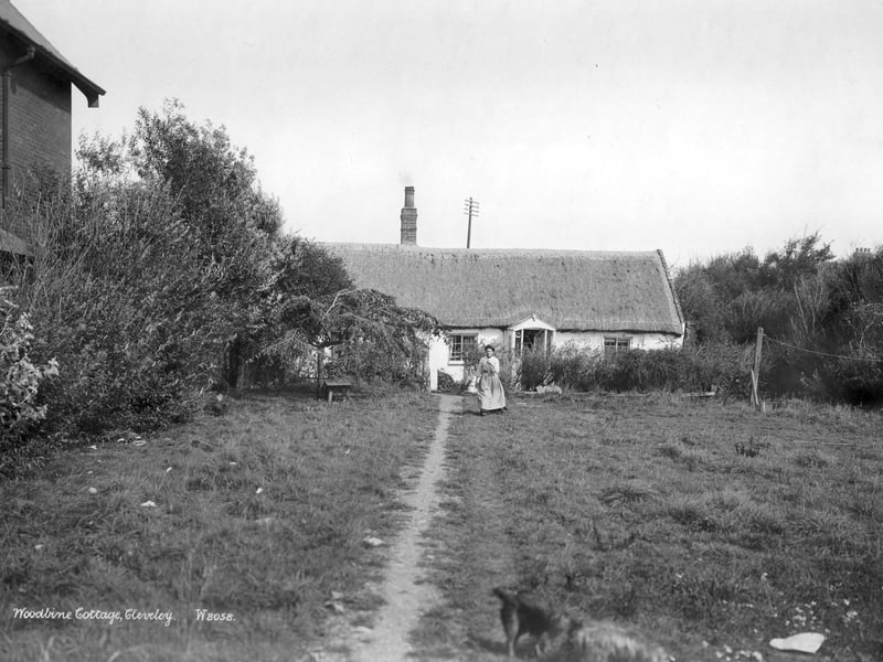 Woodbine Cottage, Cleveleys, Lancashire, 1890-1910. A woman walks towards the camera from her thatched cottage in Cleveleys