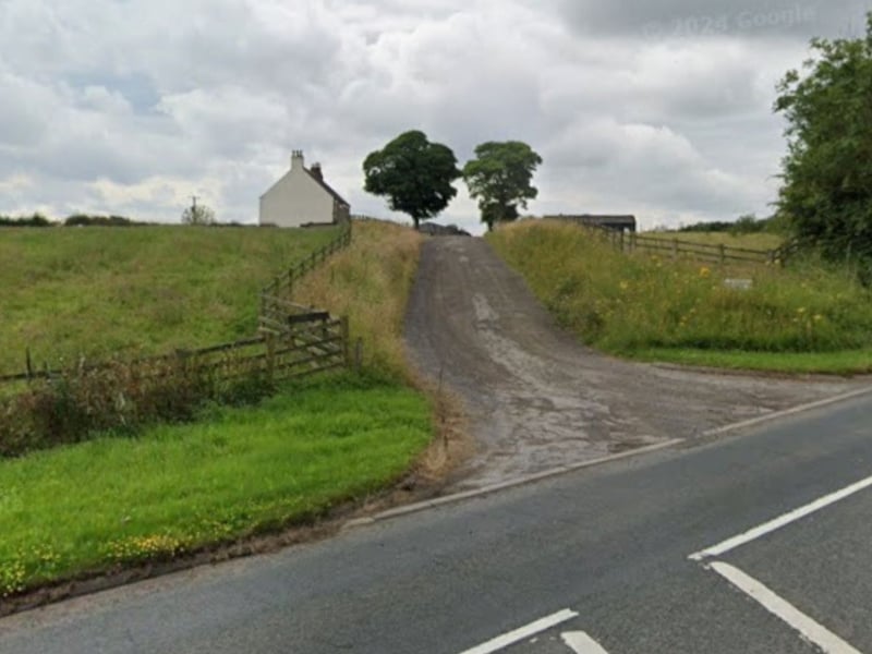 East Grange Farm in High Shincliffe, Durham, sell Nordman Fir Christmas trees. A range of sizes are available with stands retailing from £16.50. The farm also sells festive wreaths and tree decorations. Christmas tree opening hours are Monday to Saturday 10am to 6pm and Sunday 10am until 5pm.