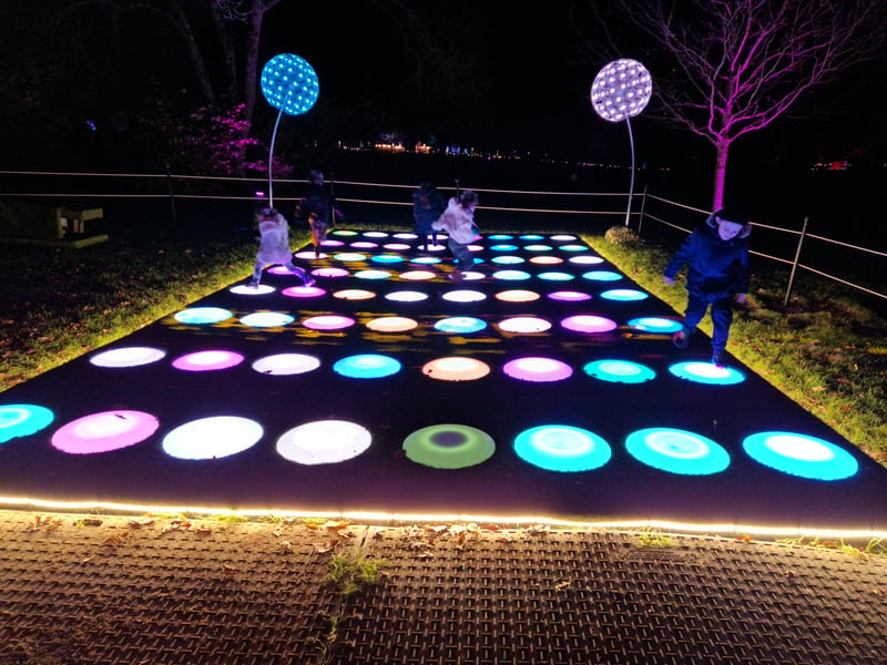 Illuminated stepping stones at Glow Marwell 2024