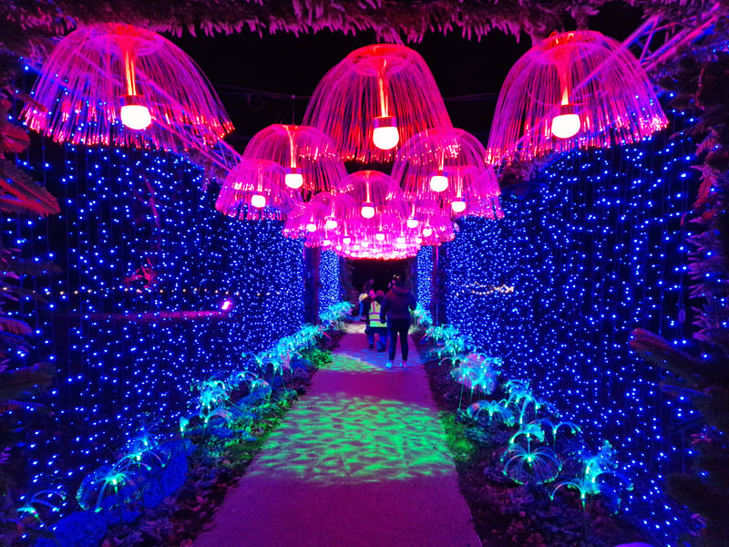 Jellyfish in the 'water' zone of Glow Marwell 2024
