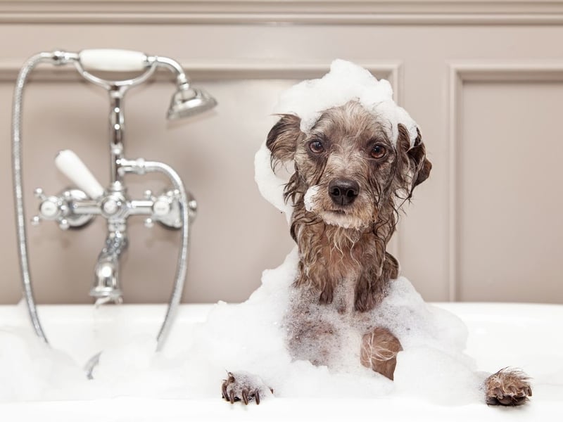 The UK's least-wanted present is bubble bath. Best strike that off your Christmas list or expect your loved one to be underwhelmed.