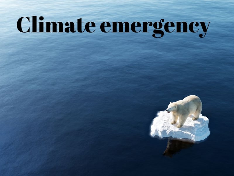 As protests about global warming broke out in countries around the world, in 2019 the word of the year was climate emergency. It's defined as "a situation in which urgent action is required to reduce or halt climate change and avoid potentially irreversible environmental damage resulting from it". Since 2016 over 2,100 local governments in 39 countries have made climate emergency declarations.