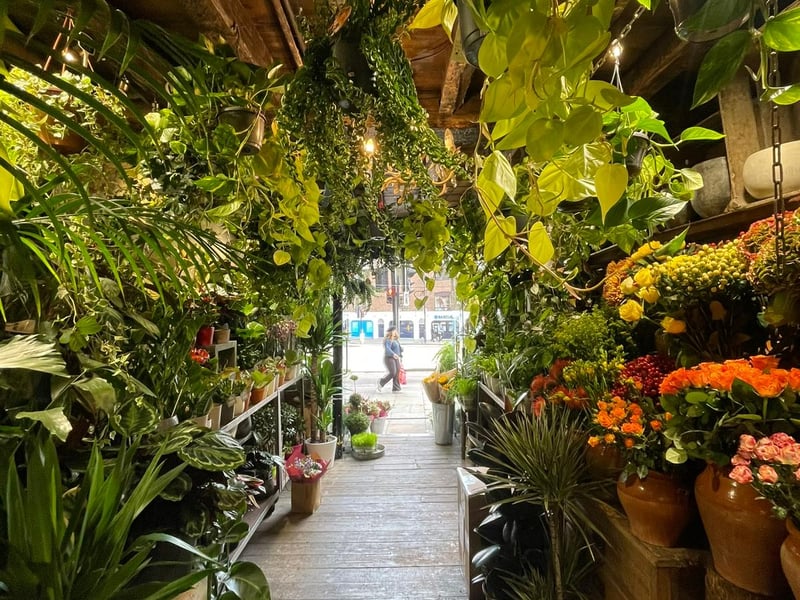 Inside is like a jungle, with hanging plants and beautiful colourful flowers