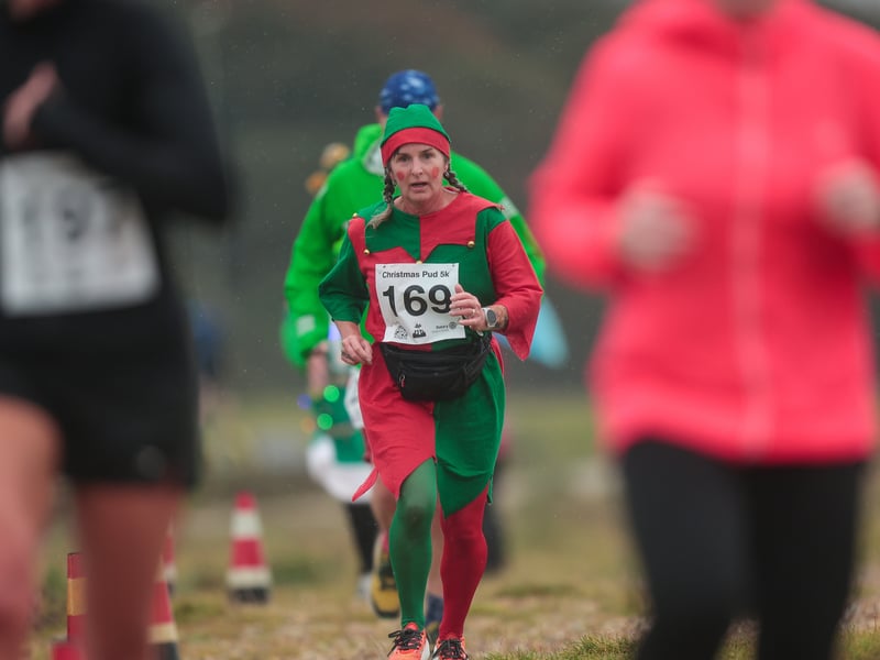 Festive fun. Picture: Chris Moorhouse (011224-32)