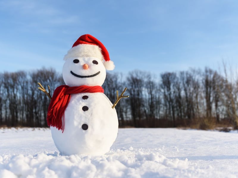 Freeze a jolly good fellow.