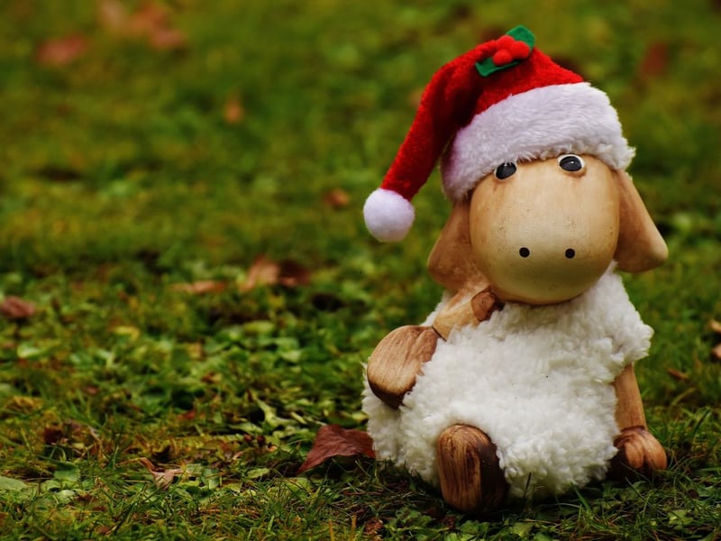 Merry Christmas to ewe.