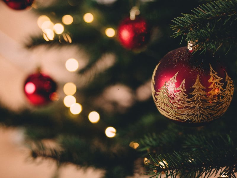 She’d been hooked on Christmas trees all her life.