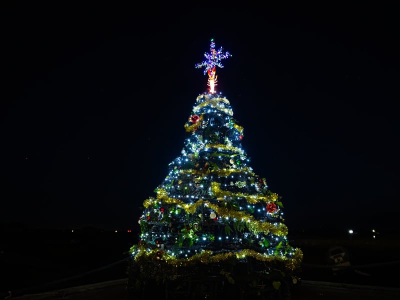 Even after all these years I still love the Lobster Pot Christmas Tree in Emsworth. It is a great place for a walk and to go shopping all year round, but the sight of the Lobster Pot by the harbour just makes it extra special!