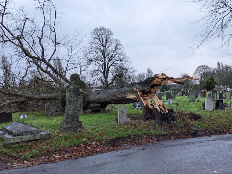 A huge tree has fallen in Kingston Cemetery, Fratton, causing damage to headstones. 