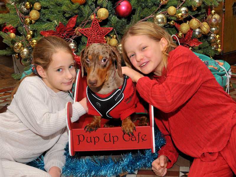 Georgia Mortimer, 8, and Ella Foxton, 9, of Holbeck with their dachshund Murphy.