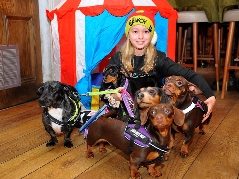 Libby Steel, 9, of Brighouse with the family dogs.