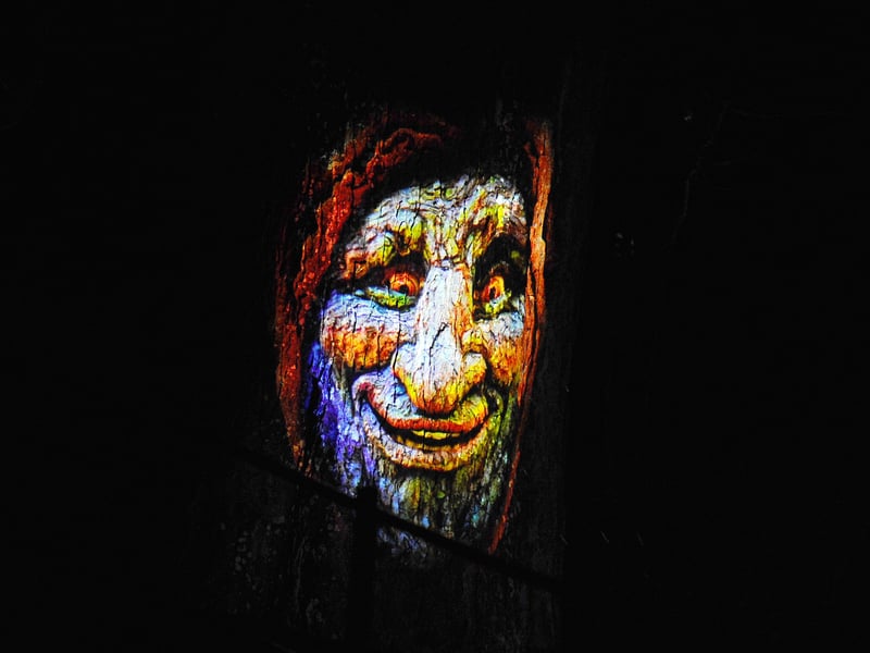 Tree brought to life. Picture: Sarah Standing (081224-269)