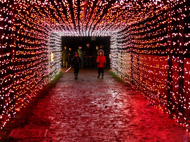 Stunning tunnel of light! Picture: Sarah Standing (081224-315)