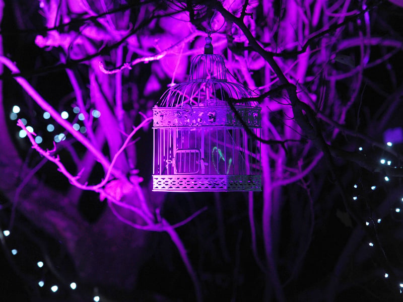 Beautiful scenes at Staunton Farm in Havant. Picture: Sarah Standing (081224-348)