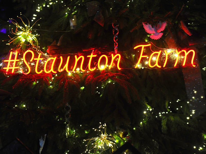 Enlightened Staunton event is on until December 24. Picture: Sarah Standing (081224-263)