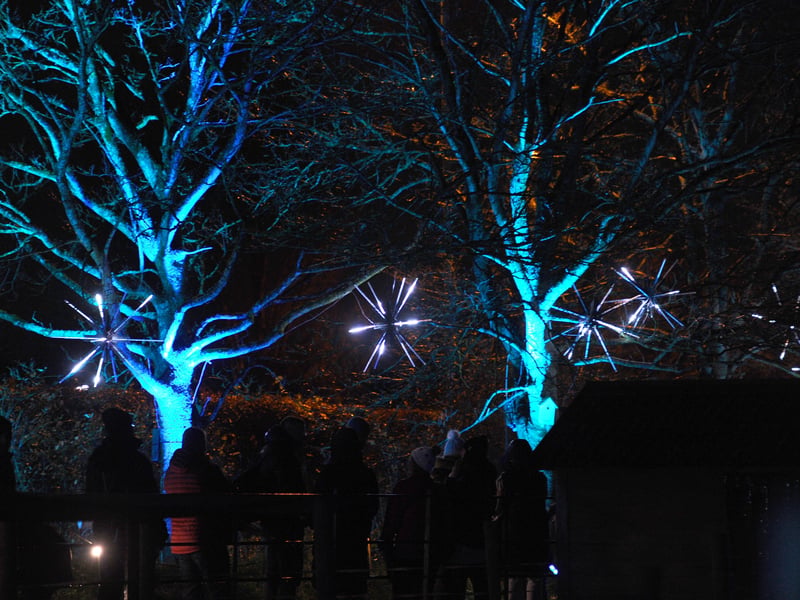 Dazzling displays at Staunton. Picture: Sarah Standing (081224-285) 