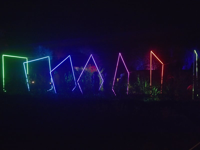 Enlightened Staunton event is on until December 24 at Staunton Farm in Havant. Picture: Sarah Standing (081224-7533)