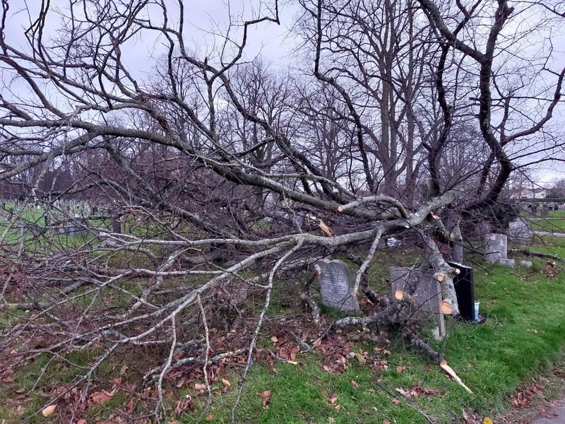 The tree has fallen on headstones at Kingston Ceremony after Storm Darragh