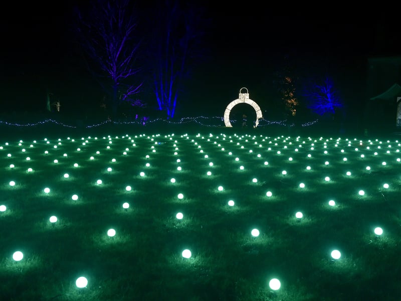 Stunning scenes at Enlightened Staunton. Picture: Sarah Standing (081224-7455)