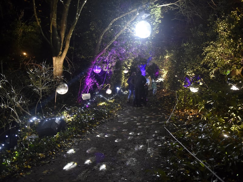 Visitors follow the trail at Staunton Farm. Picture: Sarah Standing (081224-7514)