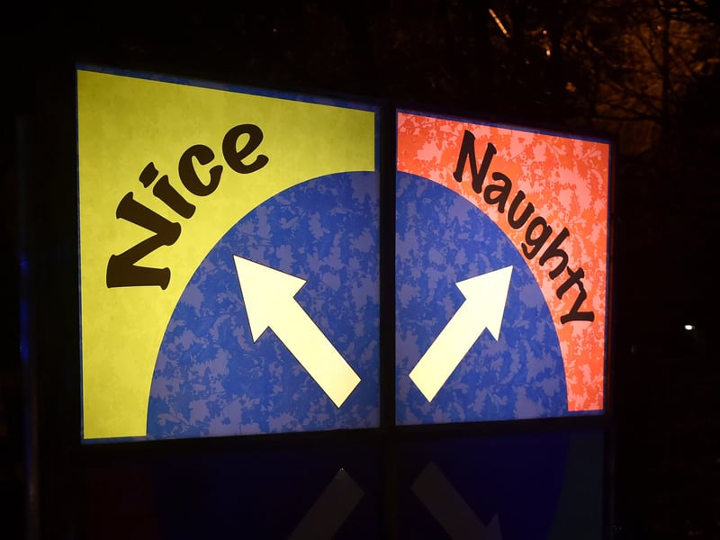 Naughty or nice? Picture: Sarah Standing (081224-7402)