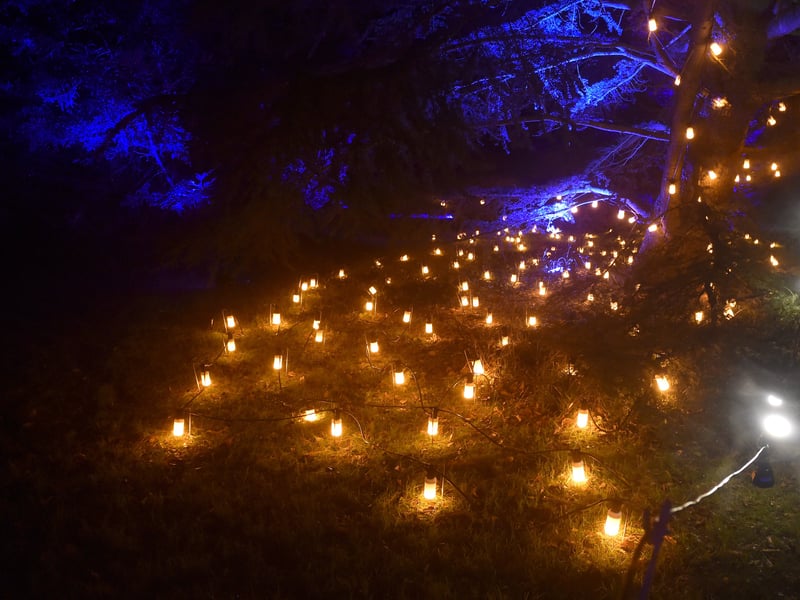 Stunning scenes. Picture: Sarah Standing (081224-7497)