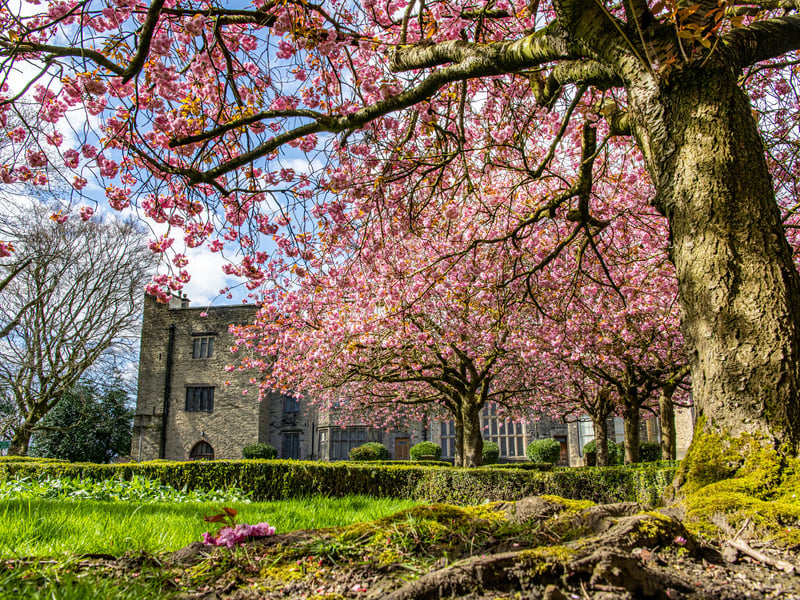 One of Bradford's oldest buildings, Bolling Hall offers visitors a fascinating journey through the lives and times of the local families for whom it provided a home. Located just a mile from Bradford city centre and situated in a quiet, leafy garden, the hall is a rambling mixture of styles with every nook and cranny packed with history.