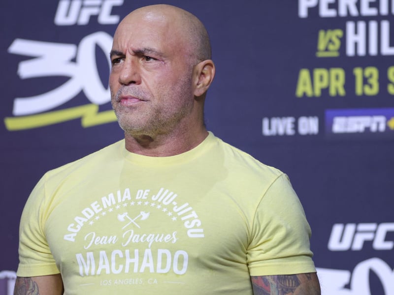 Who would have thought that a comedian and UFC commentator interviewing people for hours about everything from current affairs to aliens would be such a hit? Joe Rogan has made millions from the podcast that is the most-watched in the world.