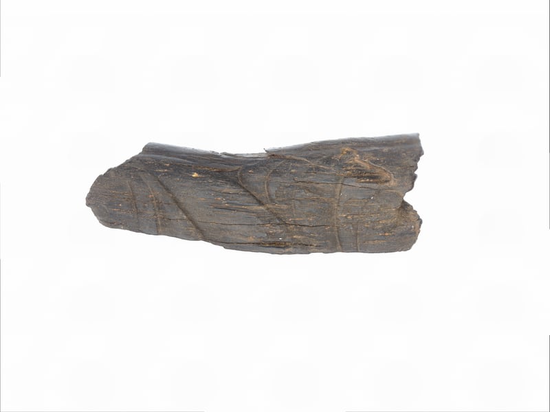 The fragment of the 'Celtic' bangle which is decorated with crescent motifs, scroll designs and curved lines. This curvilinear style developed on the Continent after 450 BC and has traditionally been referred to as ‘Celtic’. 
