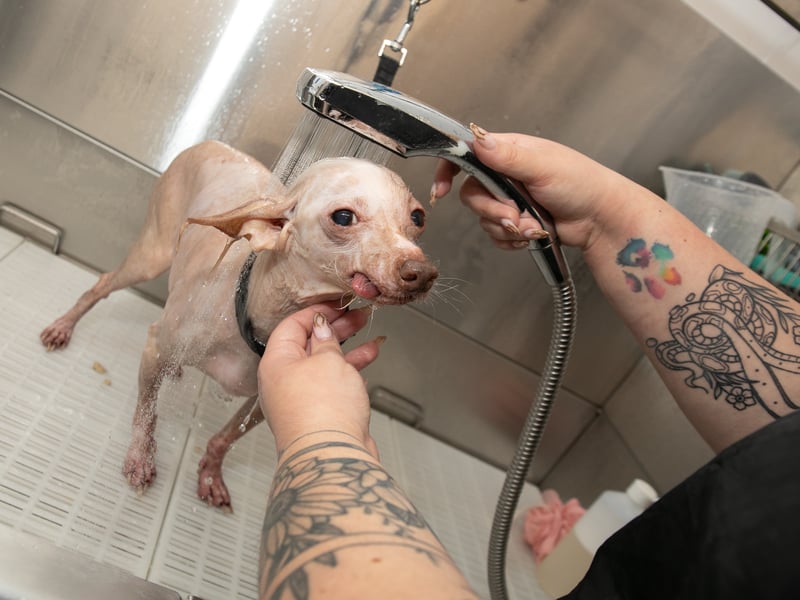 Having a nice warm shower.
